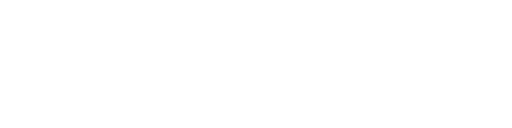 Main Logo